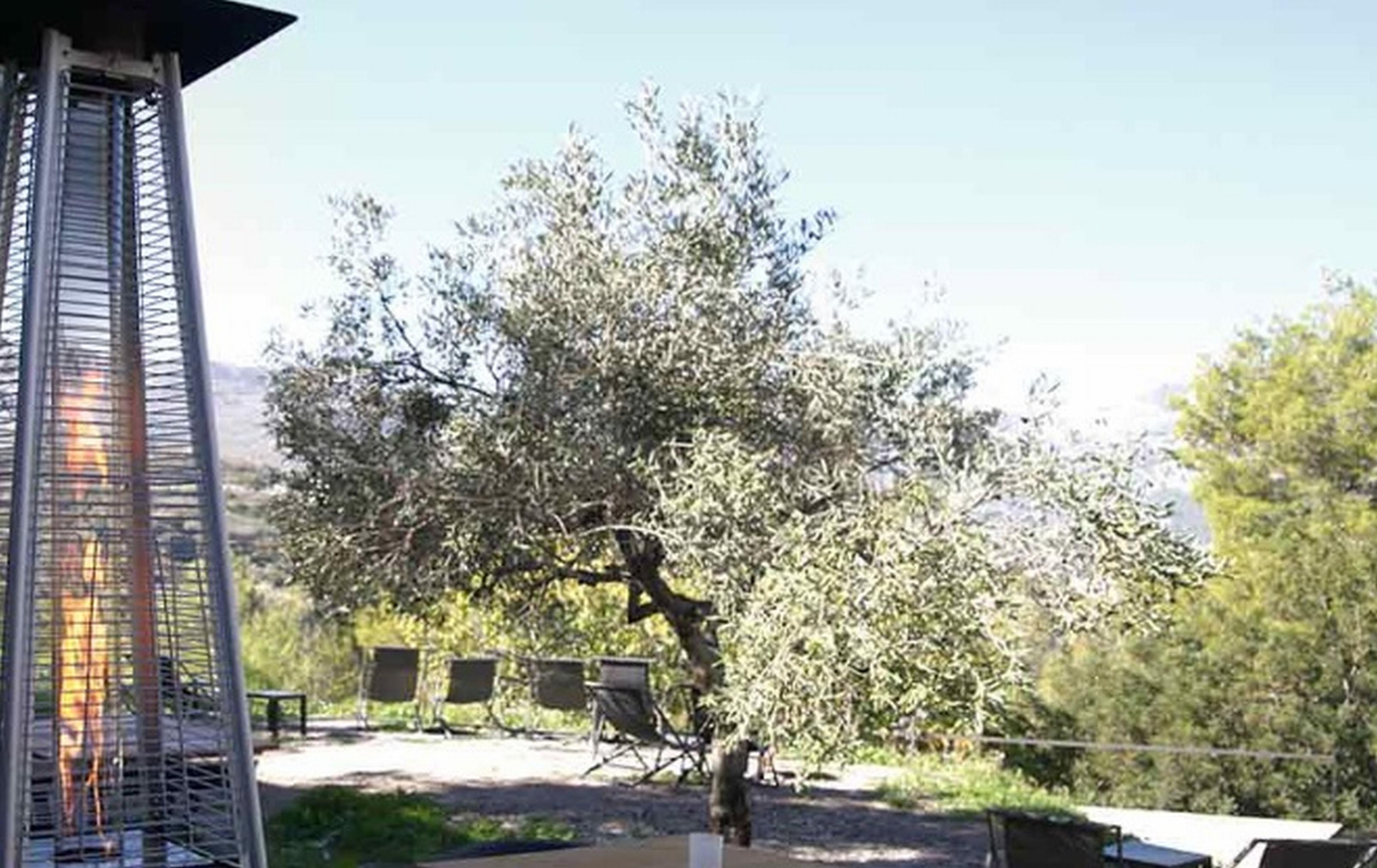 Vivood Landscape Hotel & Spa - Designed For Adults Benimantell Exterior foto